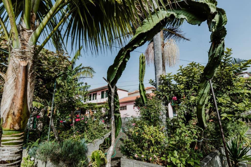 City View Gardens Funchal  Eksteriør bilde