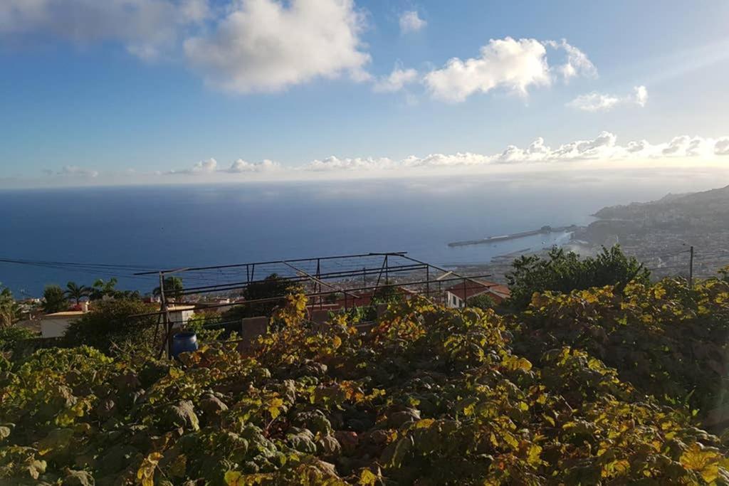 City View Gardens Funchal  Eksteriør bilde