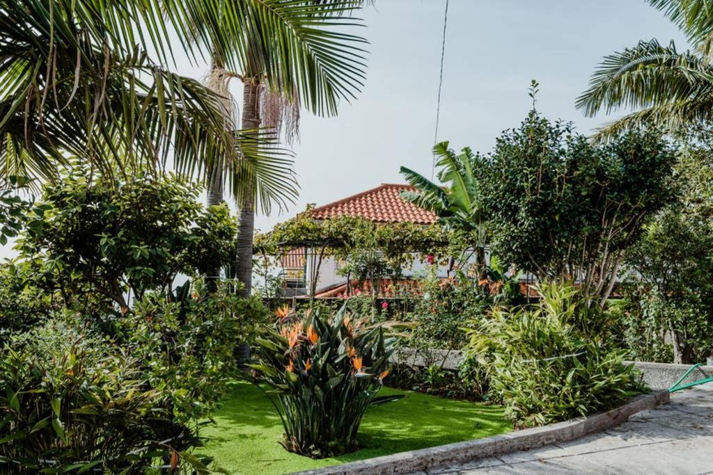 City View Gardens Funchal  Eksteriør bilde