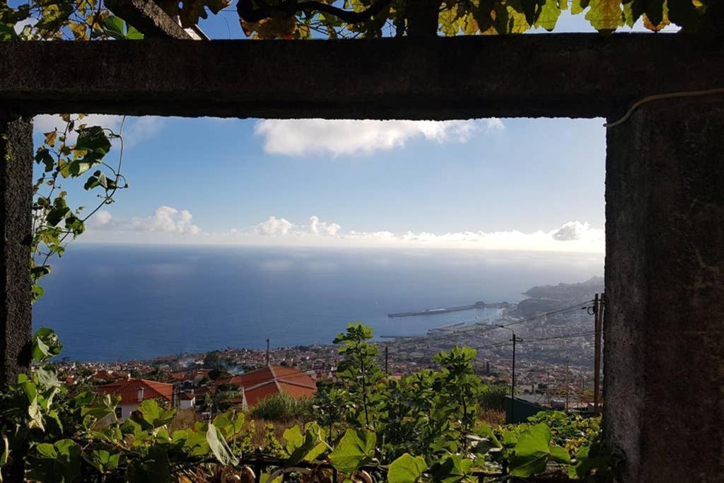 City View Gardens Funchal  Eksteriør bilde